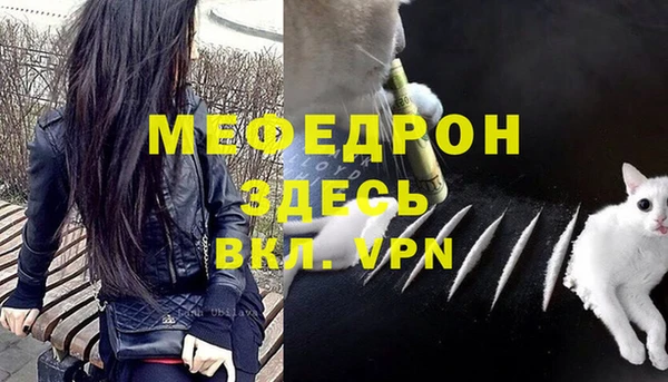 спиды Богородицк