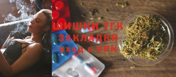 соль ск Богданович