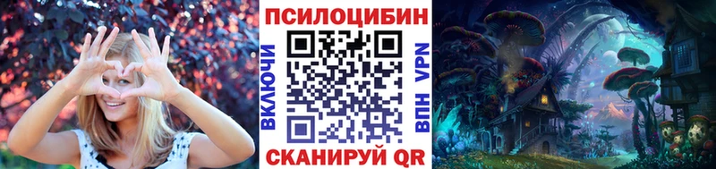Псилоцибиновые грибы мицелий  купить наркотик  Вяземский 